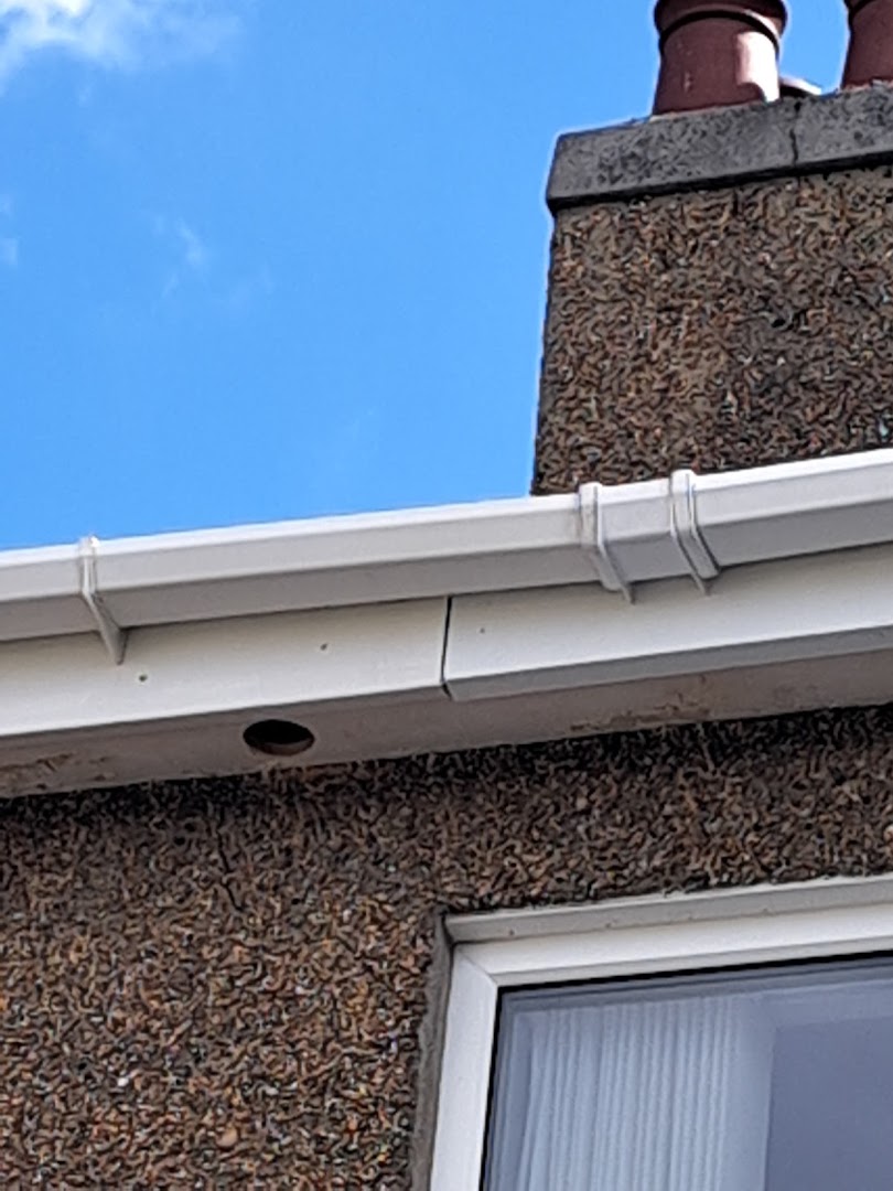 Plymouth Paul the Handyman · Photos 8